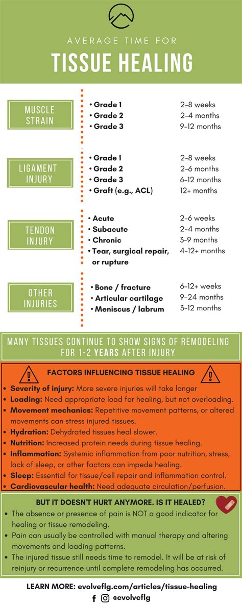 Tissue Healing Times, and What It Means For You — EVOLVE Flagstaff