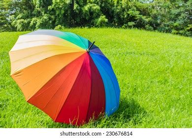 Umbrella Park Stock Photo 230676832 | Shutterstock