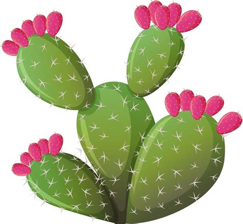 Prickly cactus in cartoon style isolated on white background 2775809 Vector Art at Vecteezy