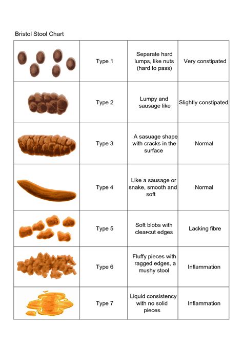 bristol stool scale chart meaning What does your stool say about you?(part i)