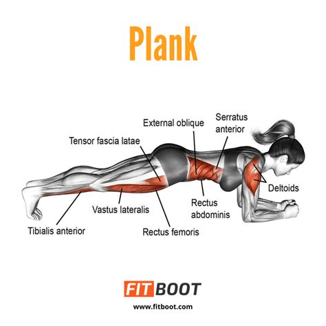 Plank: How To Do, Proper Form, Benefits, Variations & Is It Worth It?