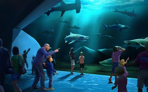 The Ultimate Guide to Visiting Georgia Aquarium Atlanta