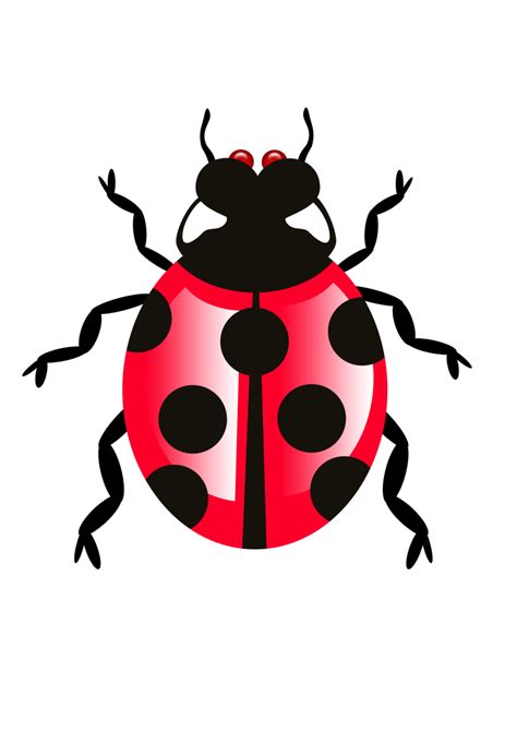 Bug Icon Transparent Transparent HQ PNG Download | FreePNGImg