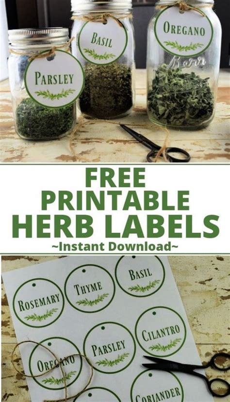 Free Printable Herb Garden Labels - Printable Word Searches