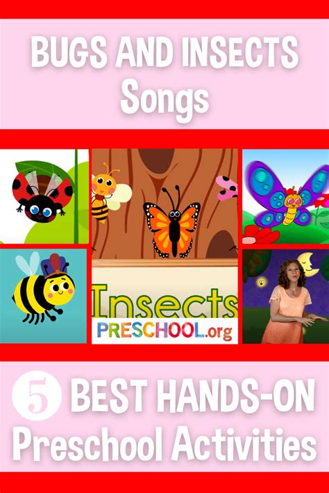 The 5 Best SONGS for BUGS AND INSECTS Preschool Theme - Preschool.org