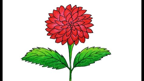 Dahlia Flower Drawing very easy and simple, how to draw dahlia