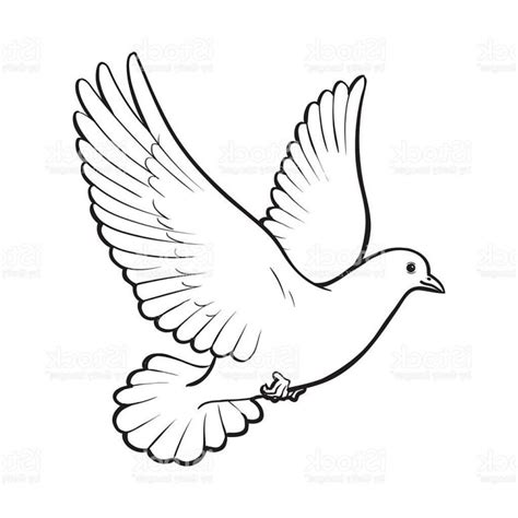 Dove Bird Drawing at GetDrawings | Free download