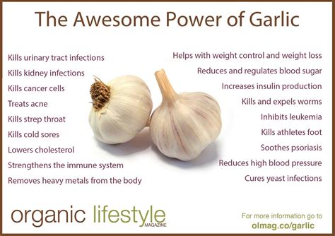 10+ Amazing Benefits Of Eating Garlic on an Empty Stomach