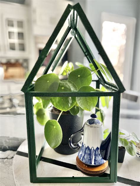 How to Make a Mini Tabletop Greenhouse