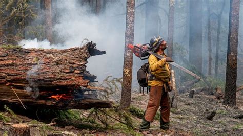 The cost of fighting wildfires in Oregon - Axios Portland