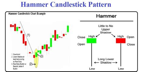 How to trade Hammer Candlestick Pattern 2024 - CoinCodeCap - Crypto Signals