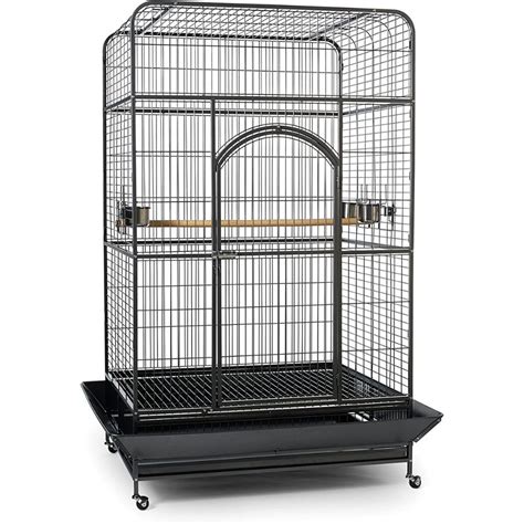 Macaw Cage: Top 3 Options For Your Feathered Friend!