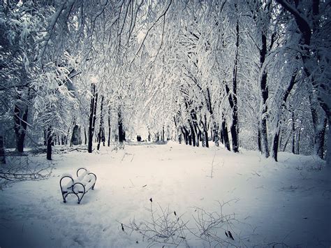 🔥 [50+] Snowy Winter Scenes Wallpapers | WallpaperSafari