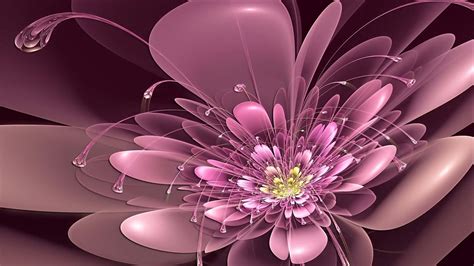 [100+] 3d Flower Wallpapers | Wallpapers.com