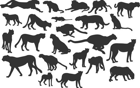 set of cheetah silhouette 33093431 Vector Art at Vecteezy