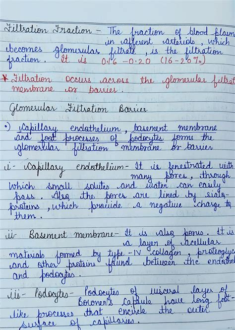 SOLUTION: Urine formation notes Urine formation Urine formation mechanism - Studypool