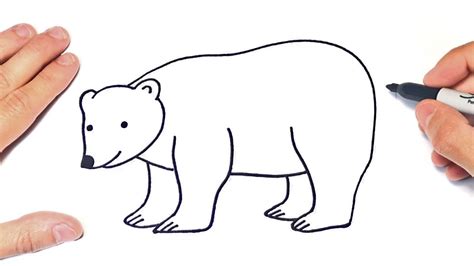 How to draw a Polar Bear Step by Step | Polar Bear Drawing Lesson