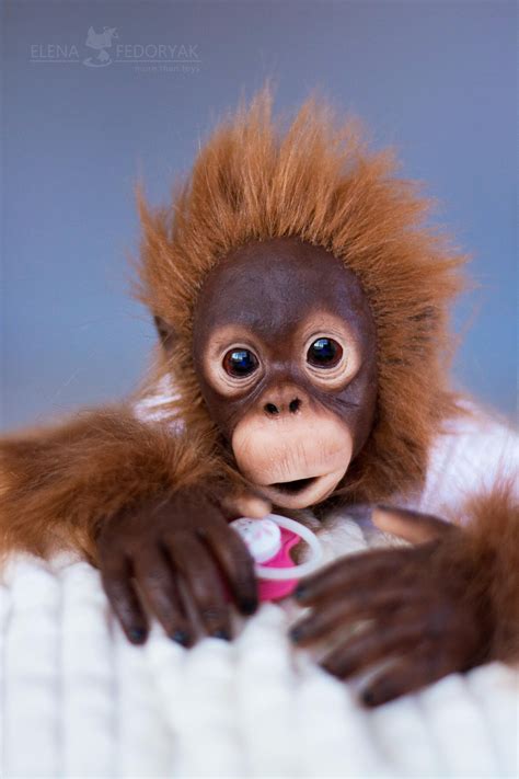 Baby Orangutan Cinta Life Size Realistic Movable Toy. OOAK Artist ...