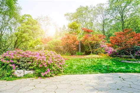 Garden Background Images - Free Download on Freepik