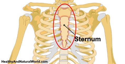 Sternum Pain (Breastbone Pain): Causes, Symptoms and Treatments