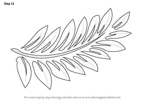 Learn How to Draw Fern-fronds (Plants) Step by Step : Drawing Tutorials