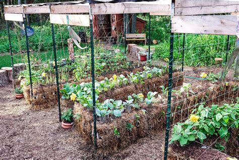 Straw Bale Gardening - Edible Communities