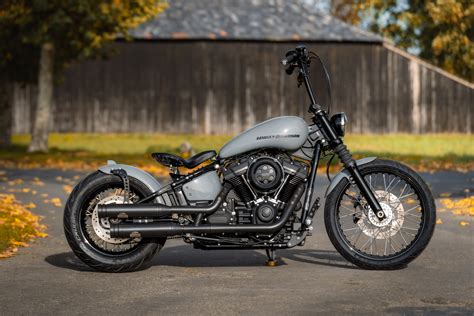 Thunderbike Grey Hawk • Harley-Davidson Street Bob