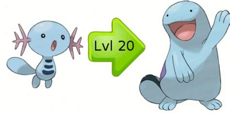 Wooper Evolution Chart