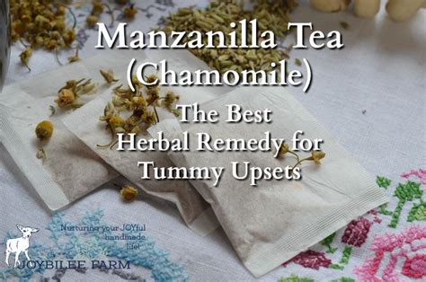 Manzanilla Tea -- The Best Herbal Remedy for Tummy Upsets | Joybilee® Farm | DIY | Herbs ...