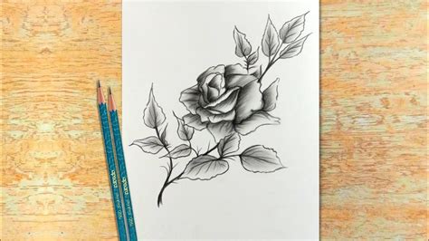 How to Draw Pencil Sketch for Beginners step by step | Creative Flowers Drawing with Pencil ...