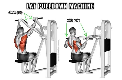 Close Grip Lat Pulldown vs Wide Grip: Mechanics & Muscle Activation