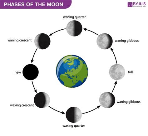 Phases Of The Moon Diagram To Label