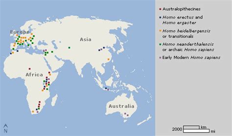 Genus homo 3