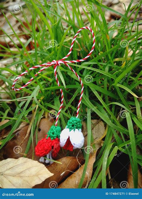 Red, White, Green Crocheted Flowers Martisor in Green Grass Stock Image - Image of crocheted ...