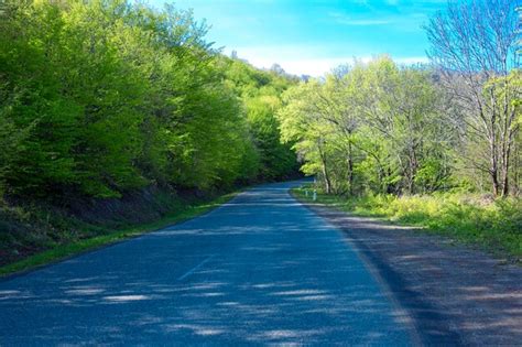 Premium Photo | Concept of deserted abandoned ghost road