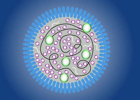 Mycoplasma Testing · QED Bioscience Inc