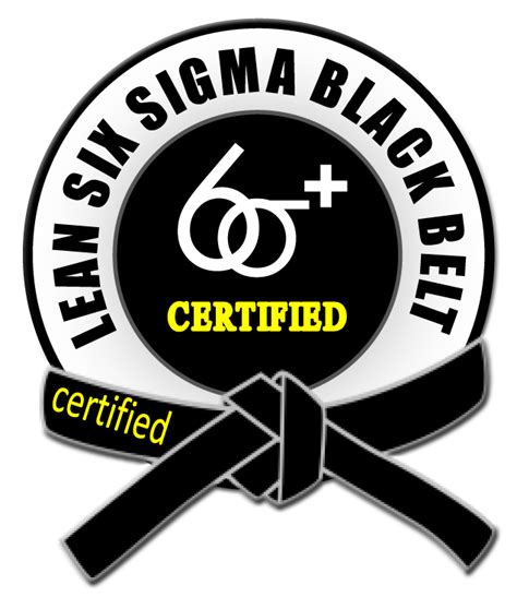 Lean Six Sigma Black Belt - Six Sigma Plus