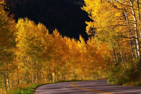 10 Beautiful Photos of Aspen Fall Colors from the 2016 Aspen Photo Challenge | Aspen