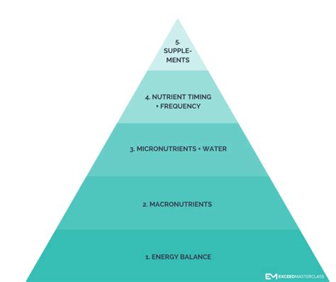 All About Nutrition For Endurance Athletes - Exceed Nutrition