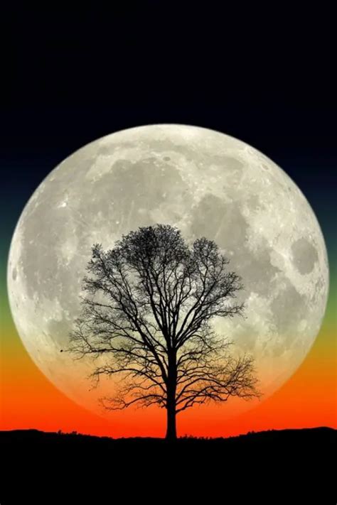 45 Fascinating Full Moon Photography Tips and Ideas - Greenorc