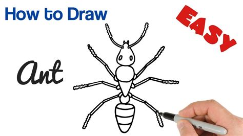 Ant Easy Drawing For Kids - bmp-urban