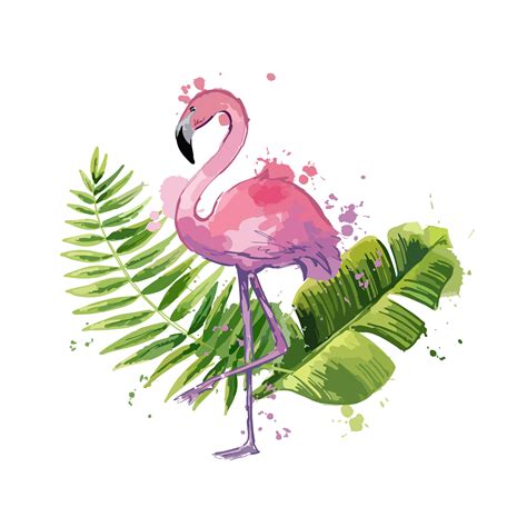 Details 100 flamingo drawing with background - Abzlocal.mx