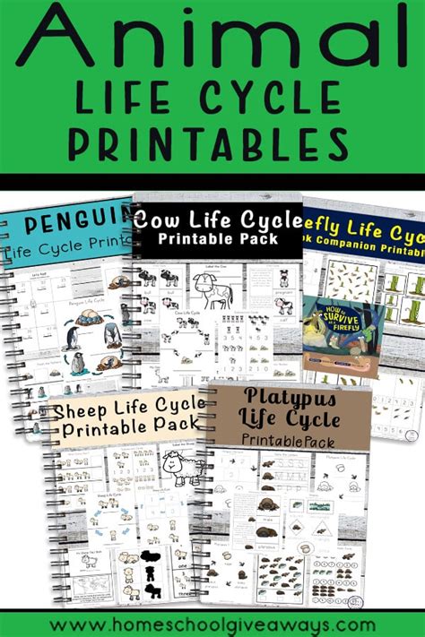 Free Animal Life Cycle Printables - Homeschool Giveaways Bird Life Cycle, Penguin Life Cycle ...