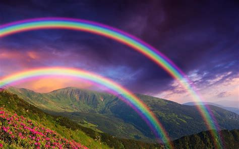 Rainbow Rain Wallpaper