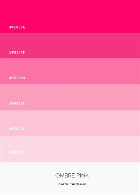 the color scheme for ombre pink