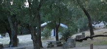 Mount Diablo State Park - Campsite Photos and Camping Information