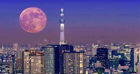 Tokyo 4K Wallpapers - Top Free Tokyo 4K Backgrounds - WallpaperAccess