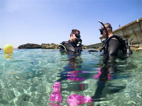 Dive Sites In Malta | Paradise Bay Reef | ABC Diving Malta