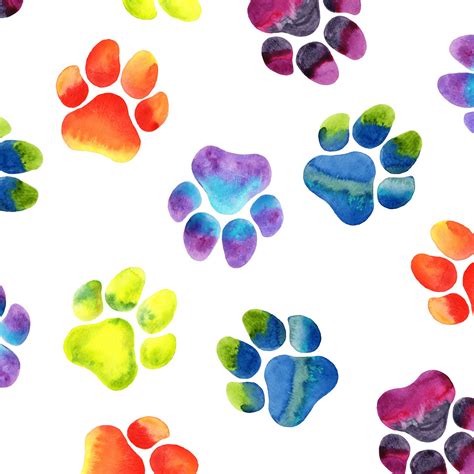 Rainbow Paws Wallpapers - Wallpaper Cave