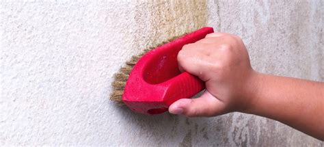 How to Treat and Clean Mildew Damage | DoItYourself.com